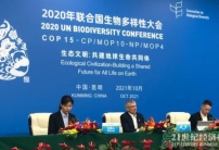 COP15：共建地球生命共同體，全球生物多樣性框架將聚焦4大長(zhǎng)期目標(biāo)