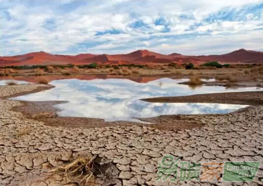 合理的水資源管理可以緩解氣候變化加劇的缺水壓力